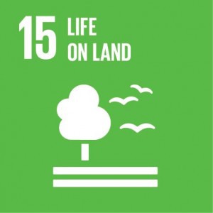 Sustainable Development Goals: 15